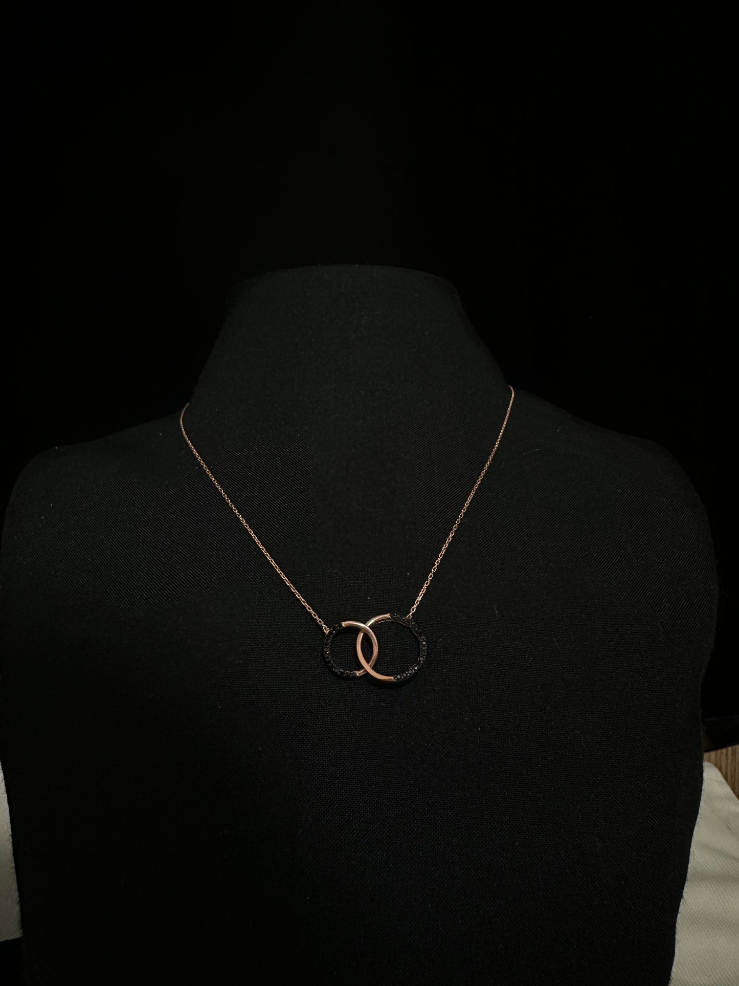 Sonsuz Şıklık: Siyah Taşlı Çift Halkalı Gümüş Kolye